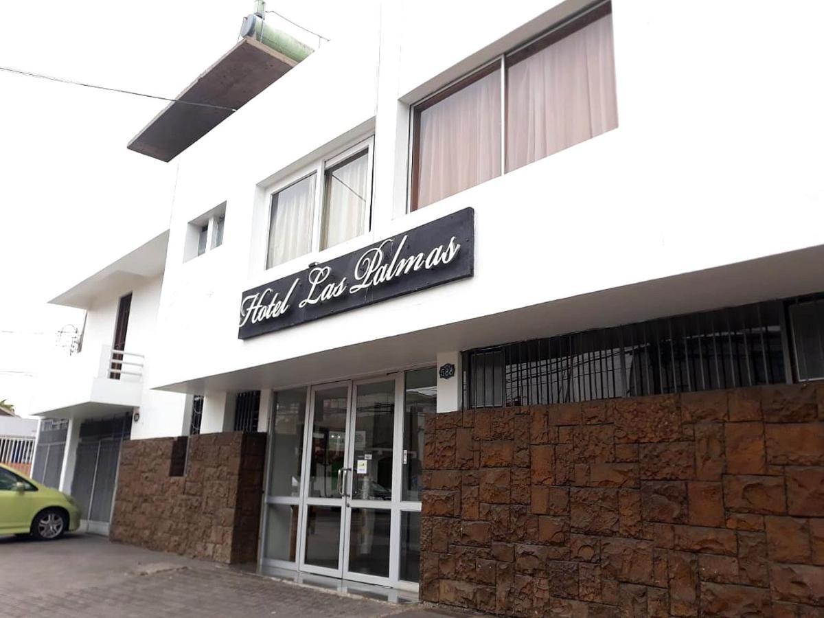 Hotel Las Palmas Arica Exterior photo